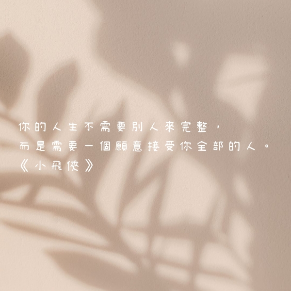 護照夾